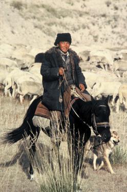 Nomads believe that horses, so essential to nomadic existence, possess great spiritual power for nomads. Some riders say they absorb the horse's rhythm into their body.
