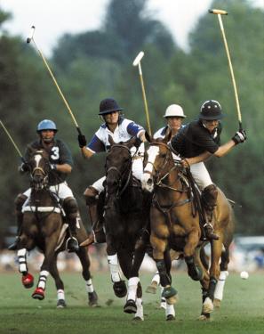 Polo has been played in many forms throughout the Silk Road and beyond. Polo clubs continue the tradition in the United States.