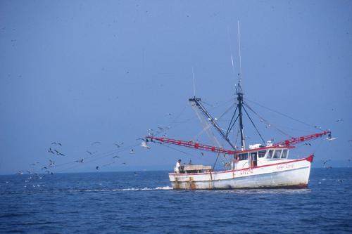 Atlantic off Morehead City. Photo by Scott Taylor