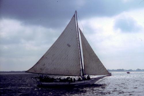 Skipjack photo by Betty J. Belanus.
