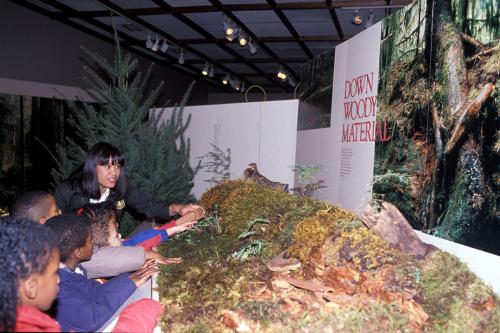 The exhibition's online Learning Guide is designed to help young visitors explore further the themes and topics raised here.