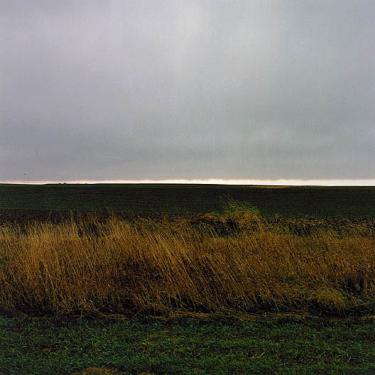 Contemporary Perspectives