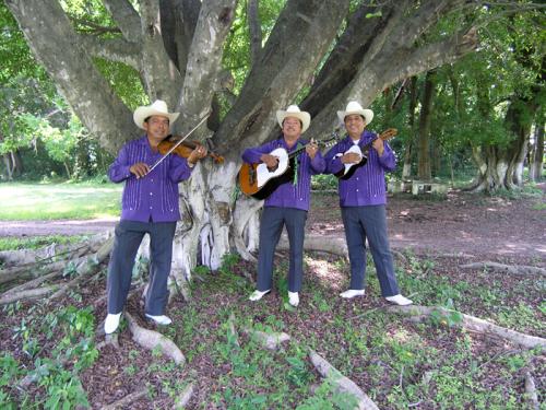 Los Camperos de Valles