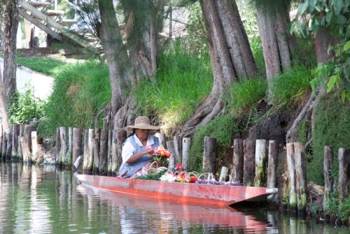 The barge or canoa is used to transport the vegetables and the ornamental plants to the market in Xochimilco.