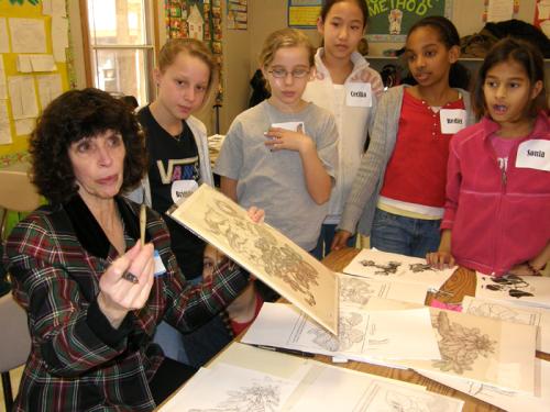 Alice Tangherini, staff illustrator for the National Museum of Natural History's Department of Botany, shows fifth-graders some of her work during the 2009 Big Draw art event at North Chevy Chase Elementary School in Maryland.