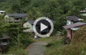 ><i>Azoteas</i>, Home Gardening in Colombia