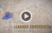 Introduction to the Southeastern Plains