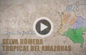 Introduction to the Amazonian Rainforest