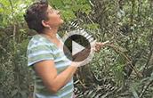 Fieldwork Video - Filandia