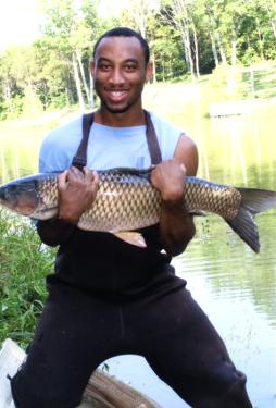 Undergraduate student Steven Patton holds a common carp during a pond population assessment at Kentucky State University's Environmental Education Center