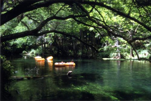 Florida&rsquo;s springs provide fresh water for people and wildlife&mdash;and their recreational opportunities.