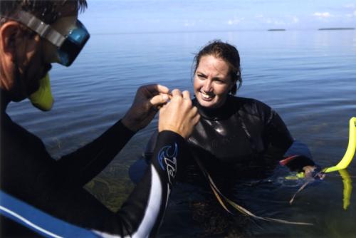 UF scientists investigate sea grass beds, which are critical habitats for fish in the Gulf of Mexico.