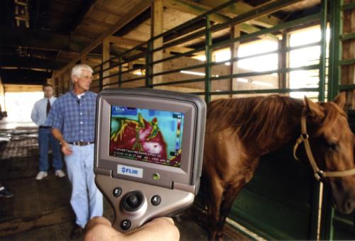 Thermal-imaging technology visualizes the temperature of a horse.