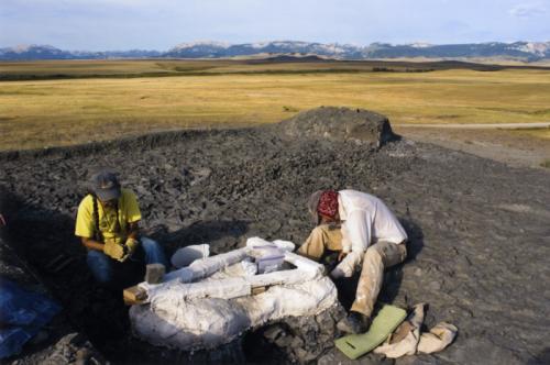 Montana State University paleontology students search for fossils on Egg Mountain against a backdrop of the Bob Marshall Wilderness in Montana during a summer field course.