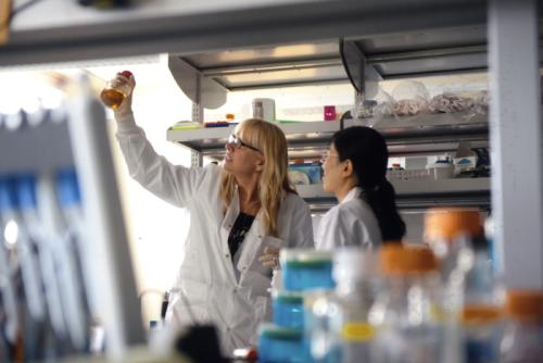 Birgitte Ahring (left) directs the Bioproducts, Sciences, and Engineering Laboratory at Washington State University Tri-Cities in Richland.