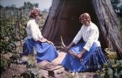 Blue-dyeing