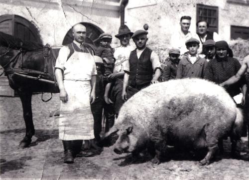 Members of a large Hungarian family pose with their Mangalitsa pig, ca. 1930.
