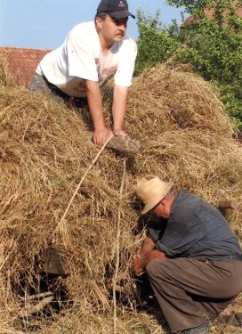 In Kalotaszeg, Transylvania (Romania), male farm workers collect hay.
