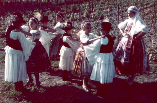Children in traditional costumes dance in S&aacute;rk&ouml;z, ca. 1930.