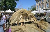 Thatched Roofs