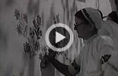 Flowers of Kalocsa mini-doc