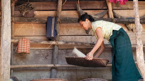 Koro speaker Yadjik Jaboju threshes rice in Arunachal Pradesh, India.