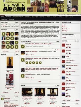 The Will to Adorn research site