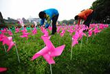 Pure Brightness / Qing Ming Festival