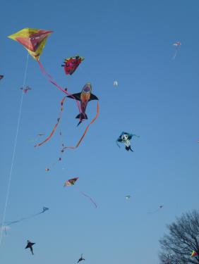 Kites fill the sky in Washington, D.C., just as they do in China and elsewhere, 2013.
