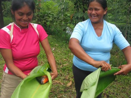 Wachiperi women prepare fish to be cooked.
