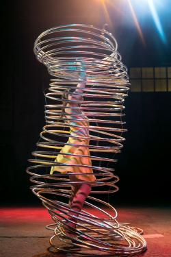 Using her entire body, this performer rotates more than thirty hoops simultaneously.