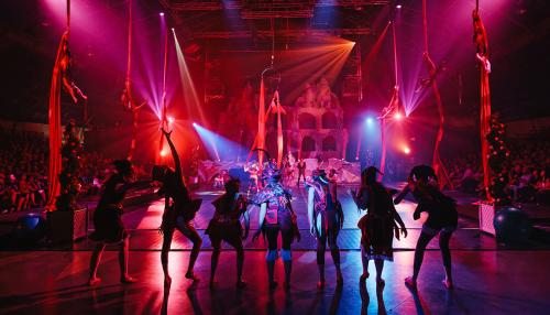 Circus Arts