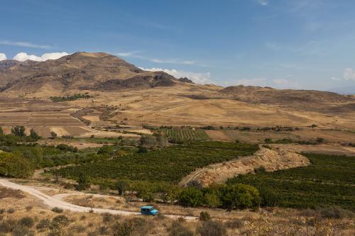 Vineyards in Vayots Dzor draw a sharp contrast with the otherwise dry highlands landscape. Growers use irrigation methods to redirect some of the regions spring-fed streams to water the vineyards.