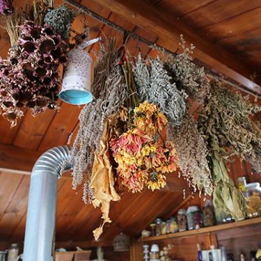 The Magic-Ancestral Medicine of Catalonia
