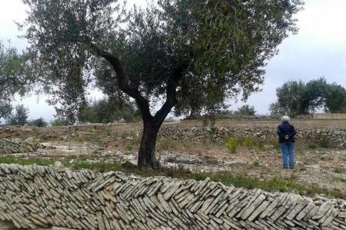 In Catalonia, <i>pedra seca</i> (dry-stone) construction is used to build roads, walls, water wells, canals, and more.