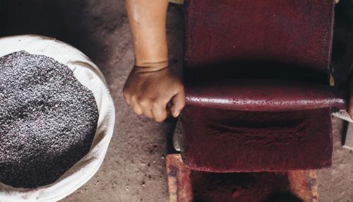 Closeup on a pair of hands rolling a pin on a stone to create a purple paste. Beside the stone is a basket full of blueish dried berries or bugs.