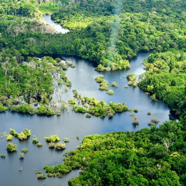 Overhead photo of a blue river cutting through dense, green forest.