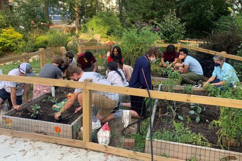 Fourteen people kneel on the ground, working on raised vegetable garden plots within a fenced enclosure.