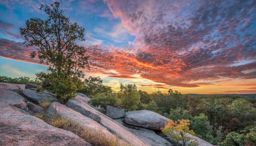 Dramatic sunset with pink and purple clouds over a wooded area and rock outcropping.