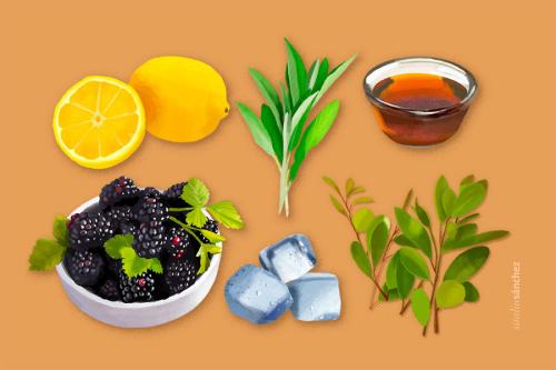 An illustration of the ingredients for blackberry sage and yaupon tea.