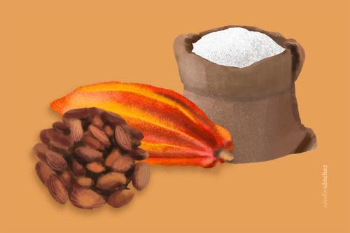 An illustration of the ingredients for Chicha de Cacao.