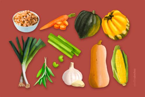 An illustration of the ingredients for three sisters soup.