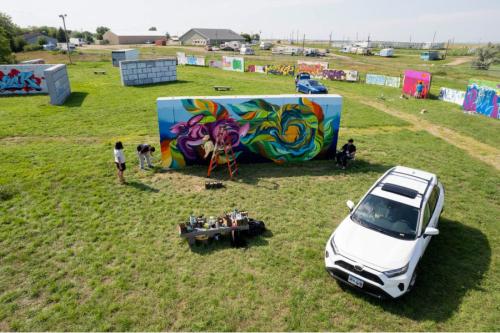 Wide shot of multiple makeshift walls set up in a grassy field, with various forms of graffiti on each.