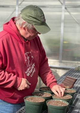 The man in the red hoodie places a single corn kernel in a small pot of soil.