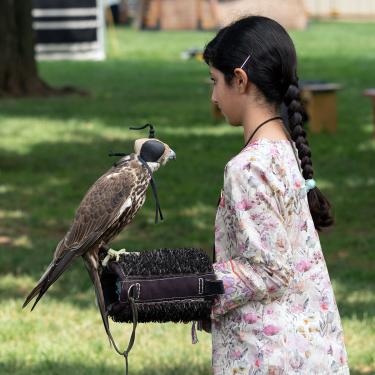 A young girl in a floral dress and long braided hair holds a falcon on one arm.