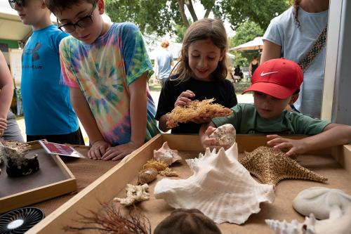 Three kids lean over a table covered with sea shells, starfish, sand dollars and other items from the ocean, with others standing in the background. Two of the children are holding the items up and examining them. 