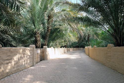 Wide paved path through a garden with shorts walls on either side and dense palm trees on the other side.