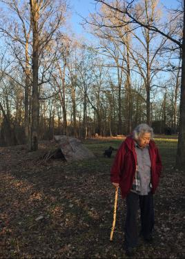 An elder woman walks through the woods in the winter, using a cane. Behind her, bare trees and a simple shelter made of branches. 