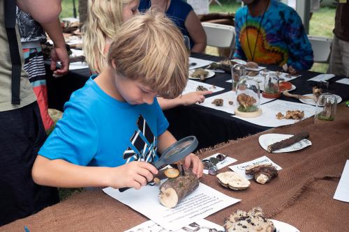 A young child holds a magnifying class to a small piece of wood at a table. The table is littered with other small items, like mushrooms in glass cases. The table in the background is surrounded by other young, seated visitors.