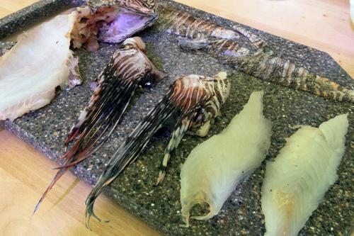 A whole lionfish broken down on a cutting board: two white fillets, striped white and black skin, striped spines, and the head.